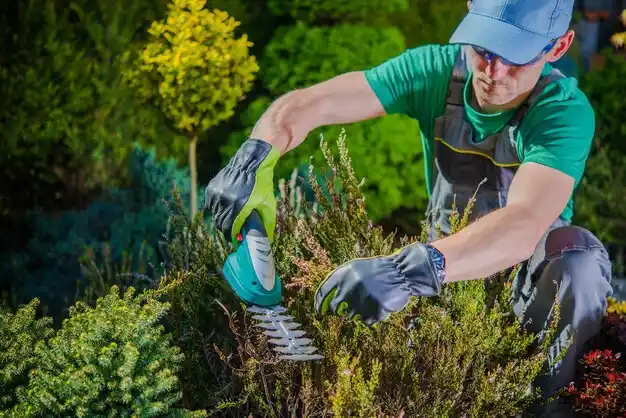 landscaping services Camdenton